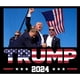 thumbnail image 2 of 10 Uds. Pegatinas Asesinato Trump Fuertes para Coche Sobrevivieron A La Lucha, 2 of 4