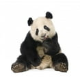thumbnail image 2 of Giant Panda 18 Months Wall Decal by Wallmonkeys Peel and Stick Graphic (48 in H x 45 in W) WM276040, 2 of 4