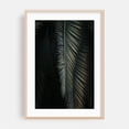 thumbnail image 2 of Palm Frond - Photography Palm Tree Tropical Nature Botanical Minimalist Coastal Abstract Unframed Wall Art Print 32 x 48 inches, 2 of 60