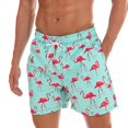 thumbnail image 1 of Siwmwear-bañador de playa de secado rápido para hombre, traje de baño con estampado de piña y bolsillo Fivean unisex, 1 of 2