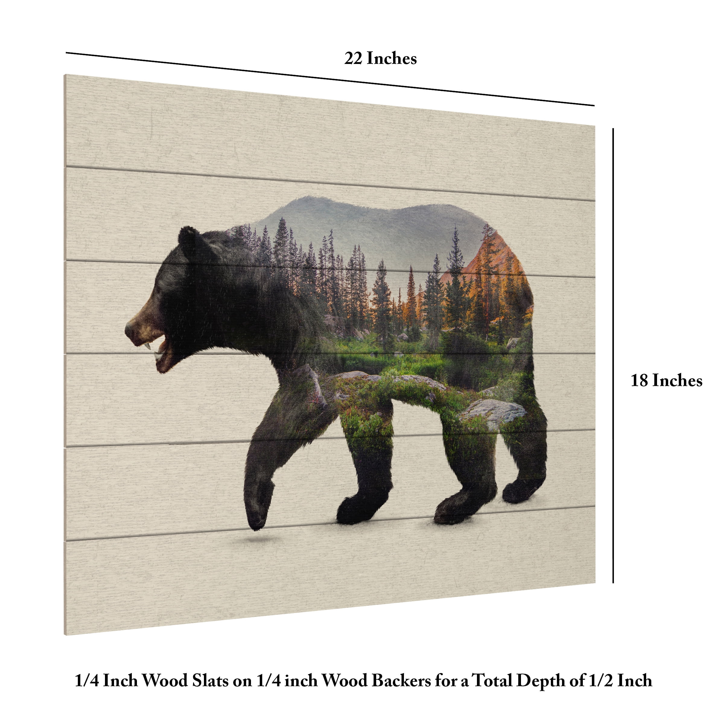 Davies Babies 'The North American Black Bear' Wood Slat Art 18x22