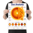 Sun Anatomy Educational Reference - Science Students and Families ...