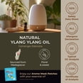 thumbnail image 2 of Gya Labs Ylang-Ylang Essential Oil for Diffuser, Natural Ylang Ylang Essential Oil for Skin , Hair Health & Aromatherapy - 0.34 fl oz, 2 of 6