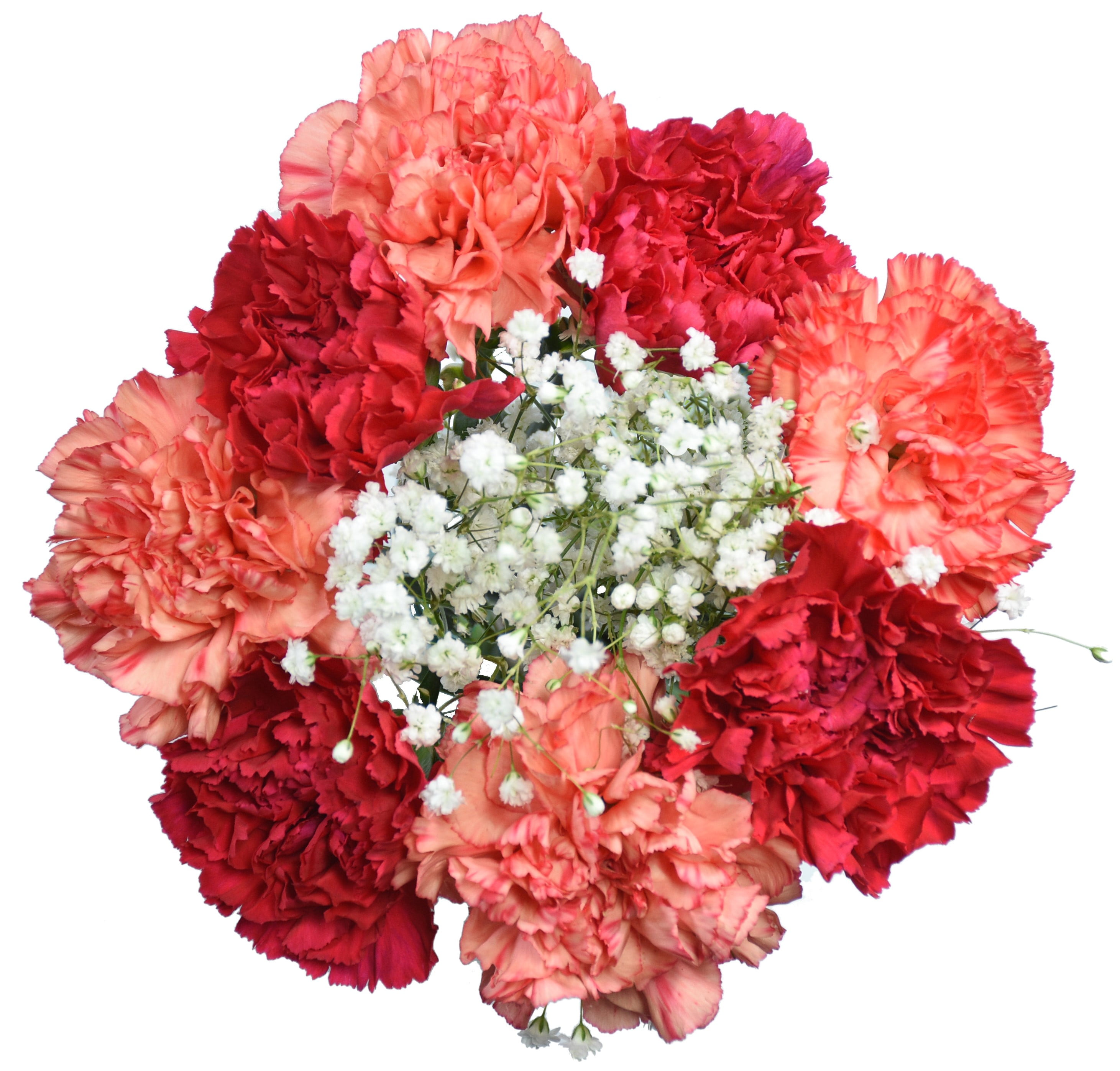 Assorted Carnations Bouquet, 9 Stems (colors may vary based on season