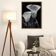 thumbnail image 2 of DIY 5D Diamond Painting Kits for Adults Diamond Painting Black and White Calla Lily Flower Floral Plants for Home Decor, 2 of 7