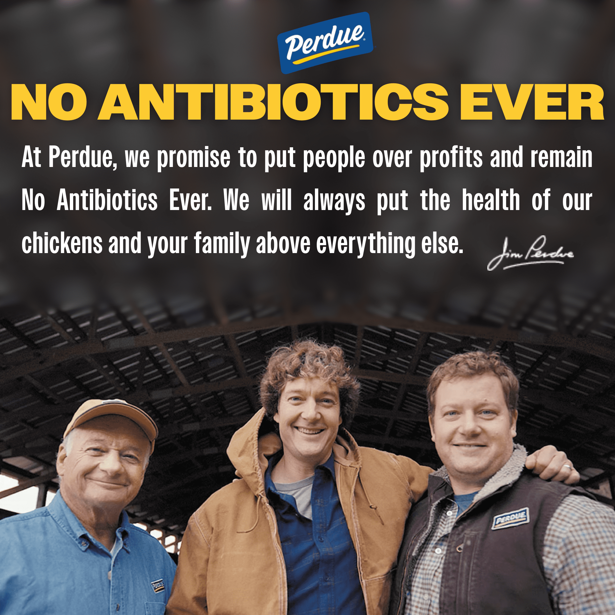 Perdue, No Antibiotics Ever, Frozen Chicken Breast Nuggets, 29 oz.