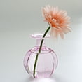 thumbnail image 1 of Florero de vidrio Florero de una sola flor Florero de mesa transparente Florero creativo Mini florero de vidrio rosa para flores para centros de mesa, 1 of 10