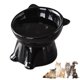 thumbnail image 1 of Plastic cat bowls and dog bowls Food Bowl Tilted Pet Feeder Dishes, 1 of 5