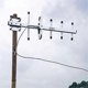 thumbnail image 2 of Digital TV Antenna HDTV 4K Amplified Antenna Outdoor TV Antenna 300 Miles Range VHF, 2 of 5