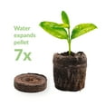 thumbnail image 2 of 1000 Count- Jiffy 36 MM Peat Soil Pellets Seeds Starting Plugs: Indoor Seed Starter, 2 of 11