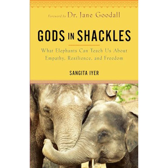 Pre-Owned Gods in Shackles: What Elephants Can Teach Us about Empathy, Resilience, and Freedom (Paperback) 1401968848 9781401968847