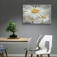 thumbnail image 2 of Masterpiece Art Gallery Daisy Portrait By Studio Arts Canvas Art Print 24" x 36", 2 of 4