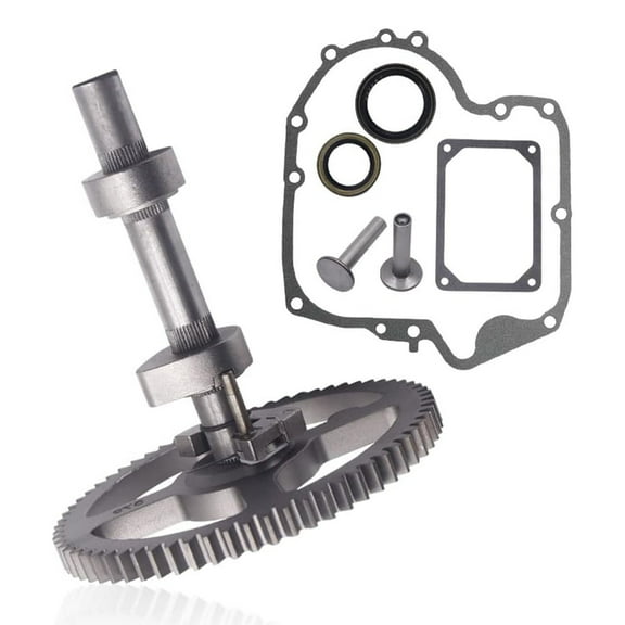 84005207 793880 793880 697110 795387 792681 791942 262411 690564 Camshaft Repair For Engines Includes Oil Seal & Gaskets