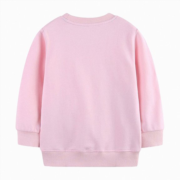 Gubotare Baby Girl Sweatshirts Toddler Baby Boy Girl Outfit Crewneck Sweatshirt Pullover Tops Long Sleeve T-Shirt Top Blouse 3T 4T (Pink,3-4 Years)