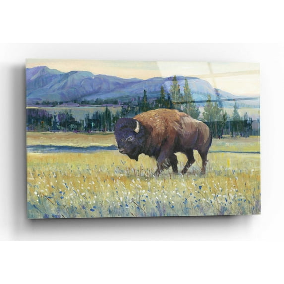 Epic Art 'Animals of the West II' by Tim O'Toole, Acrylic Glass Wall Art, 24"x16"
