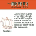 thumbnail image 5 of LYSSA -Mrs. Meyer?S Clean Day Scented Soy Candle, Pumpkin, Candle, 4.9 Ounce, 5 of 6