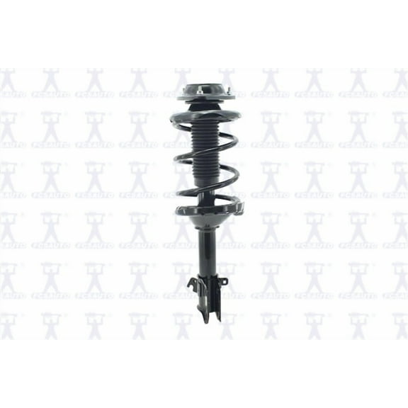 Suspension Strut and Coil Spring Assembly