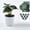 Style 5, variant on Artificial Eucalyptus Plants with White Square Vase Small Artificial Tree for Office Desktop Decor Fake Plants for Home and Office Indoor Decorations