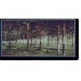 thumbnail image 2 of Historic Framed Print, The Grove at Bay View, Michigan, 17-7/8" x 21-7/8", 2 of 9