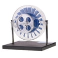 thumbnail image 4 of Turbina de vapor de una etapa Turbina de Modelo de Laboratorio de Demostración Sola Etapa Equipo de Juguete Magideal Turbina de vapor de una etapa, 4 of 7