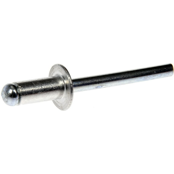 Dorman 963-204D GM Bumper Blind Rivet - Diameter 6.35mm Silver (Pack of 2)