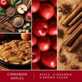 thumbnail image 3 of Cinnamon Apples Scented Wax Melts, ScentSationals, 2.5 oz (1 Pack), 3 of 6