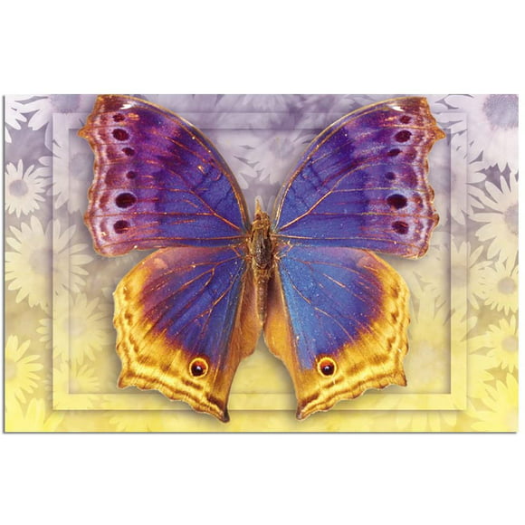 Tree-Free Greetings Econotes Stationary- Blank Note Cards with Envelopes, 4" x 6", Butterfly 3, Boxed Set of 12 (FS66505)
