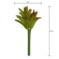 thumbnail image 3 of FloraCraft's artificial succulent, 3 of 4