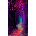 thumbnail image 1 of Imagen Diamantes Imitación Del 5D DIY Kits Pintura Resina Arte Pared para El, 1 of 10