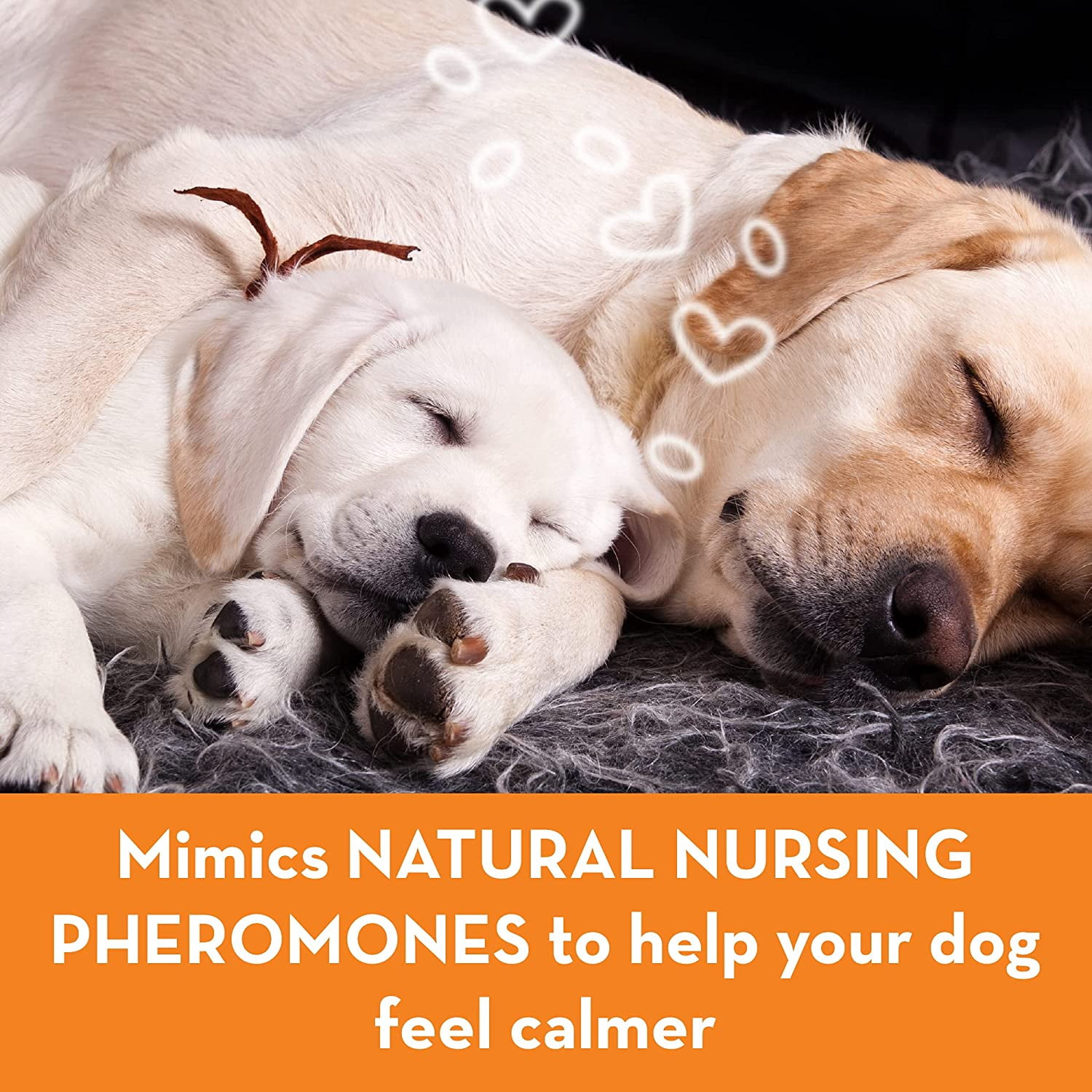 ThunderEase Dog Calming Pheromone Diffuser Kit Powered by ADAPTIL Vet Recommended to Relieve Separation Anxiety, Stress Barking and Chewing