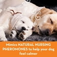 thumbnail image 6 of ThunderEase Dog Calming Pheromone Diffuser Kit Powered by ADAPTIL Vet Recommended to Relieve Separation Anxiety, Stress Barking and Chewing, 6 of 8