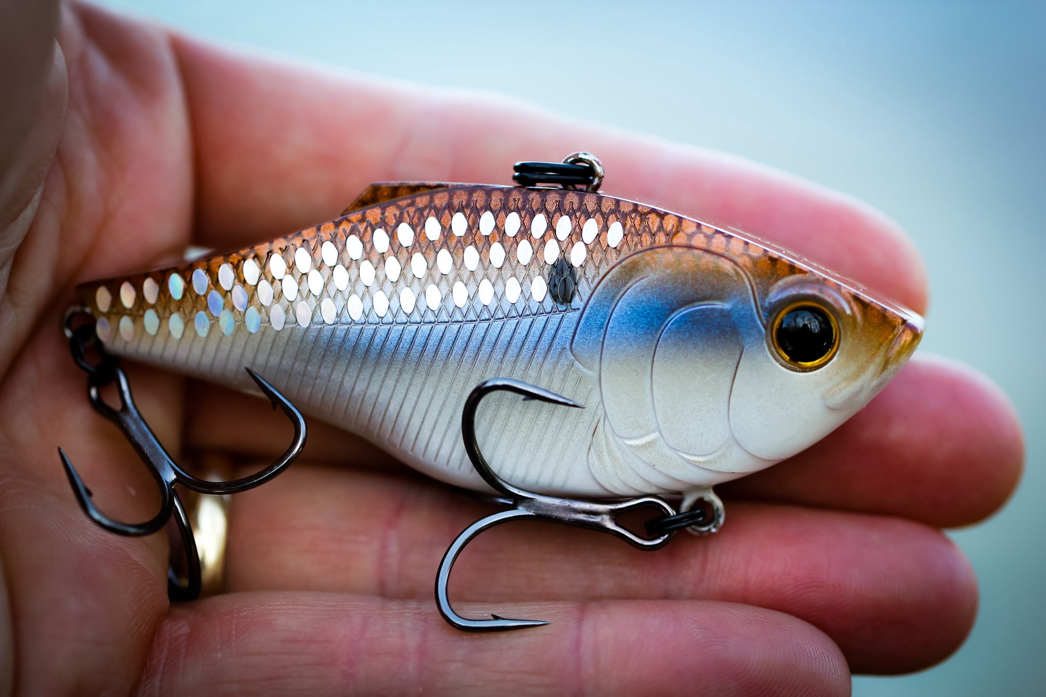 (3 pack) 6th Sense – Quake Series Lipless Crankbait Bass Fishing Lure, Dual Flat-Back Design