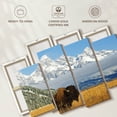 thumbnail image 6 of Elephant Stock Grand Teton Bison Bull Wall Art - Horizontal Multi Panel Canvas - Living Room Wall Decor - Animal Multi Panel - Blue And Brown Decor - 75" x 48", 6 of 8