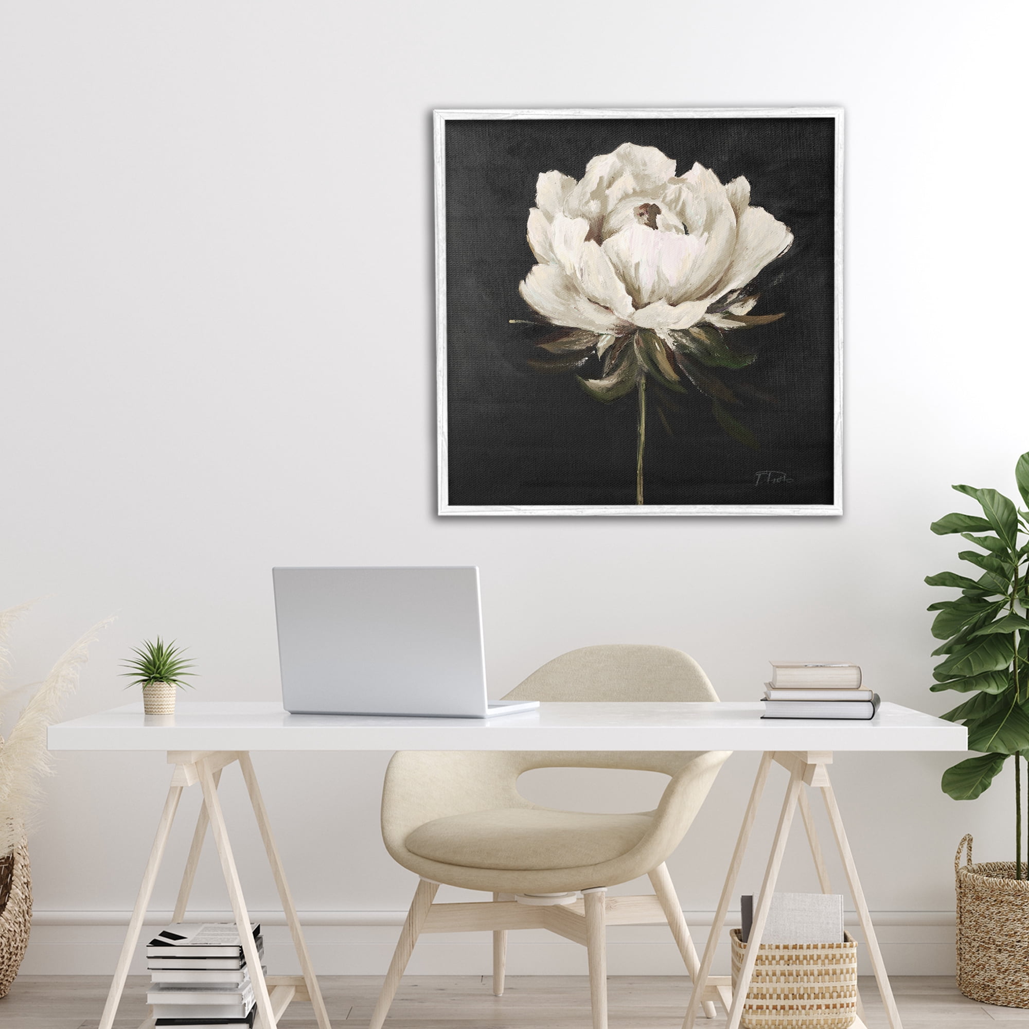 Stupell Industries Pretty Delicate Bloom on Black White Framed Giclee Art, design by Patricia Pinto