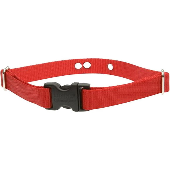 Lupine Pet 2 Hole Adjustable Nylon Replacement Collar Strap 3/4 inch Medium Red