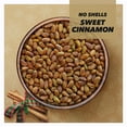 thumbnail image 2 of Wonderful Pistachios No Shells, OLF24 Sweet Cinnamon Flavored Nuts, 5.5 Ounce Resealable Bag, Protein Snacks, Gluten Free, Healthy Snack, 2 of 3