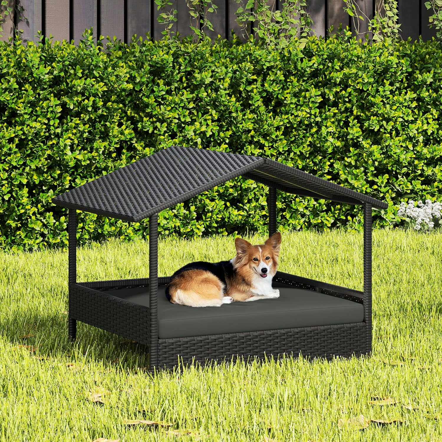 Wicker Dog House Outdoor Indoor with Canopy, Elevated Dog Shelter Dog Bed with Cushion for Small/Medium Dogs, Shade for Deck, Patio, Yard, Pool, Black House, Gray Cushion