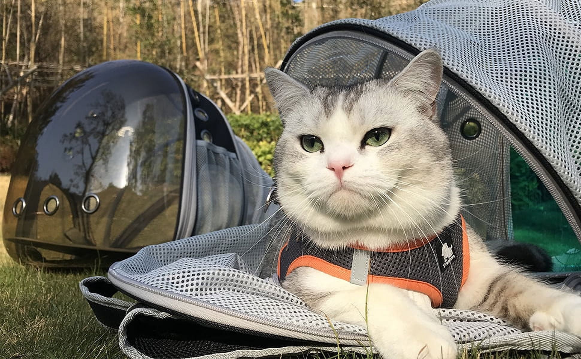 Halinfer Cat Backpack Carrier, Fit up to 12 lbs,  Pet Backpack for Cat and Small Puppy