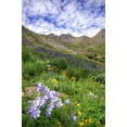 thumbnail image 2 of Flaherty, Dennis 13x18 Black Ornate Wood Framed with Double Matting Museum Art Print Titled - Colorado, San Juan Mts, flowers in American Basin, 2 of 4