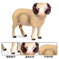thumbnail image 4 of Animaux de Volaille Réalistes Simulation Chèvre Alpaga Agneau Antilope Ranch Modèle de Volaille Figurines d'Action en PVC Jouet Éducatif pour Enfants, 4 of 7