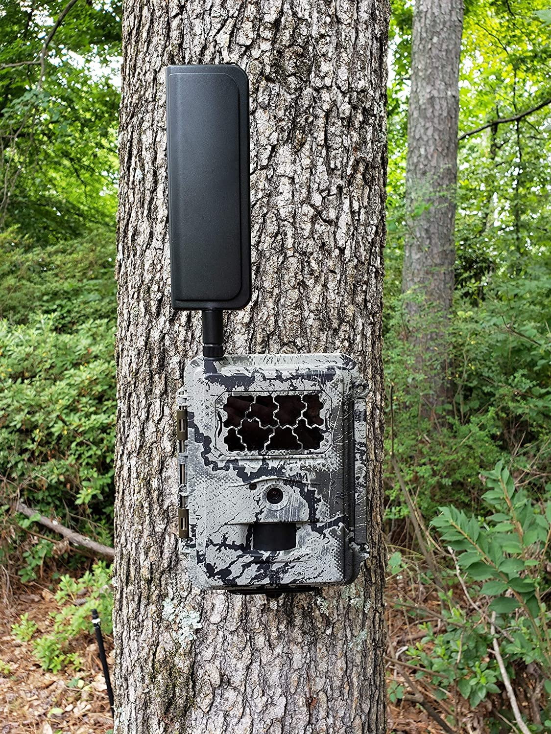 Spartan 4G LTE GoCam Wireless Trail Camera with Steel Security Box Verizon