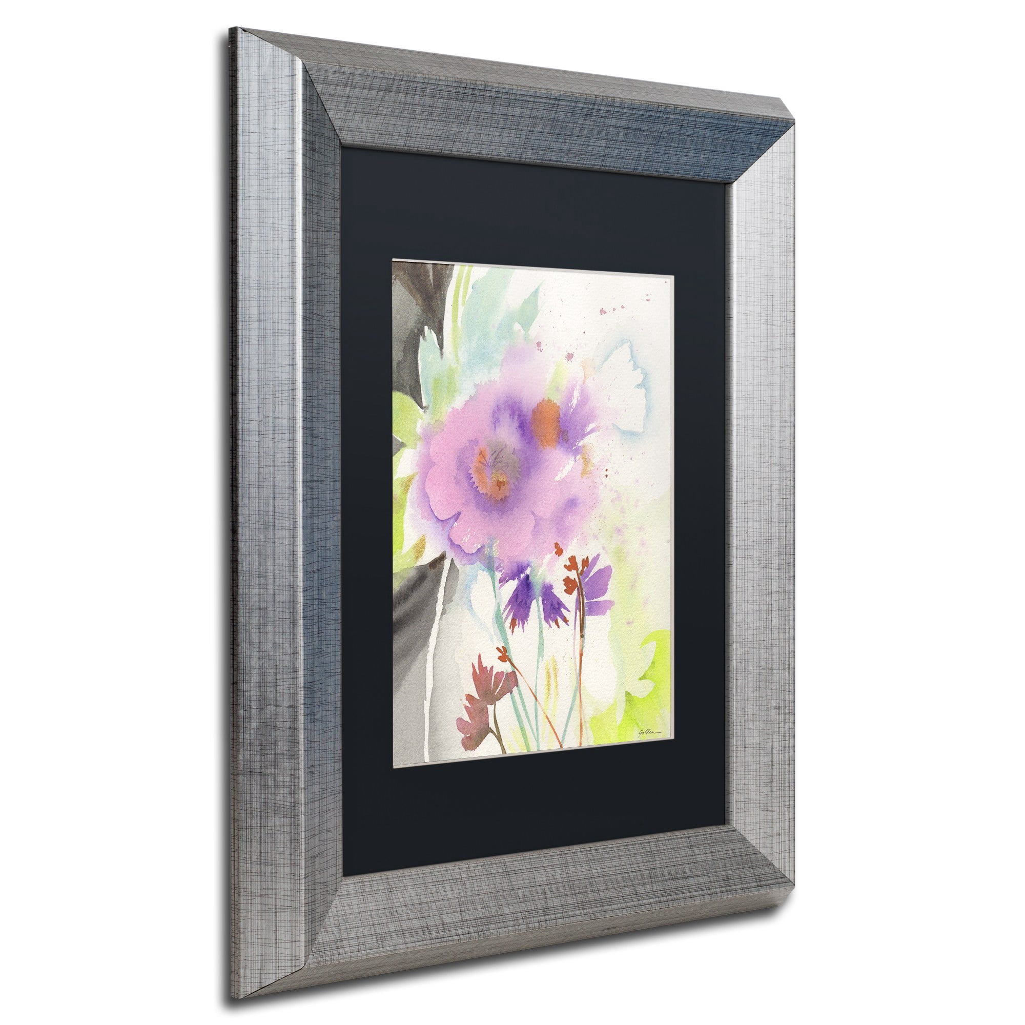 Trademark Fine Art "Mauve Garden Shadows" Canvas Art by Sheila Golden, Black Matte, Silver Frame
