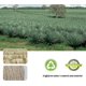 thumbnail image 2 of Cuerda De Sisal Natural De 8 Mm X 60 M, Cuerda Vieja De Repuesto Blanca Natural para Gatos con Un Par De Guantes Protectores para Gatos, Rascador, Árbol para Gatos, Maceta, 2 of 5