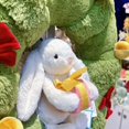 thumbnail image 4 of Jellycat Shy Embrace pequeño regalo Bonnie Rabbit peluche juguete calmante niños muñeca regalo muñeca, 4 of 5