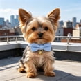 thumbnail image 4 of 2Pack Soft Corduroy Cat & Dog Collars with Bow Tie & Bell, Adjustable Breakaway Safety Collar for Small Pets, 4 of 8
