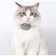 thumbnail image 3 of Collar para gato, San Valentín, rosa, para mascota, perro, collar ajustable de nailon con cascabeles y perlas, accesorios para mascotas, 3 of 5