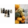 thumbnail image 4 of Plenty (Hardcover) by Yotam Ottolenghi, 4 of 4