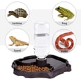 thumbnail image 3 of Botella de agua para reptiles, comedero y bebedero automático para tortugas, tazón de comida y agua, dispensador de biberón para mascotas, bandeja de alimentación para lagartos, tortugas y, 3 of 5