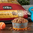 thumbnail image 2 of Ol' Roy Complete Nutrition Roasted Chicken & Rice Flavor Dry Dog Food, 50 lbs, 2 of 9