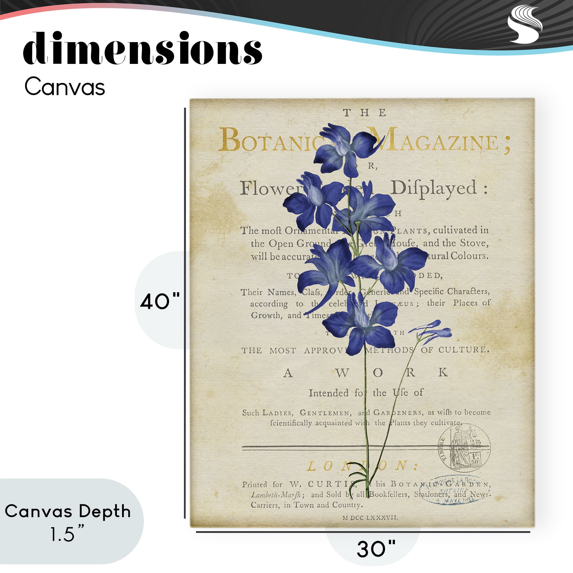 Stupell Industries Natural Botanic Garden Flower Canvas Wall Art, design by Susan Arnot
